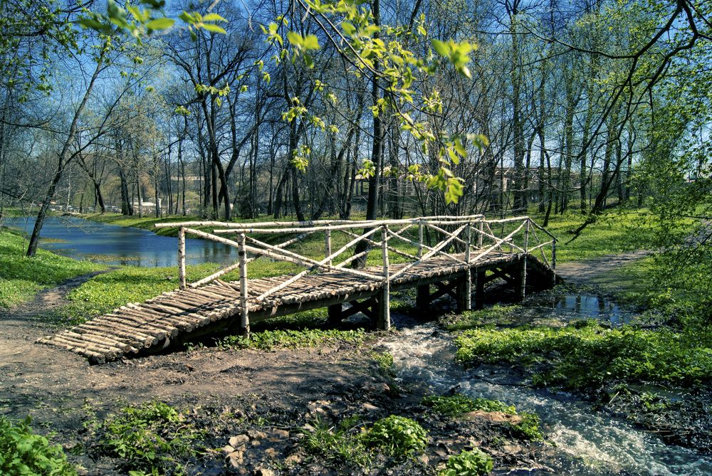 Photograph by Екатерина Бахтинова