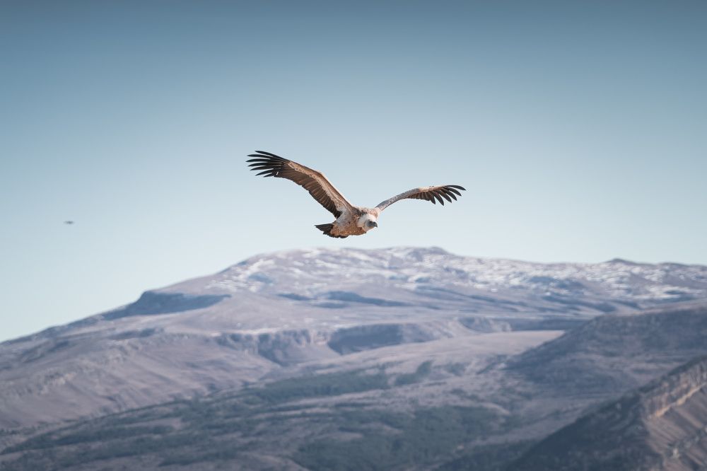 Photograph by Иван Ларин