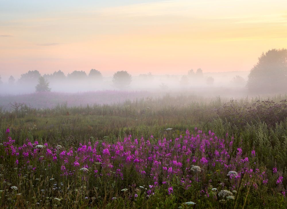Загадочное утро.