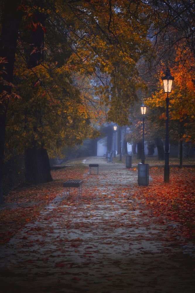 Photograph by Evgeni Fabis