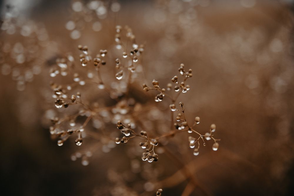 Photograph by Анастасия Фокина