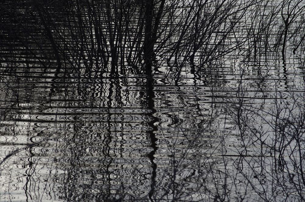 Photograph by Lothar Boris Piltz