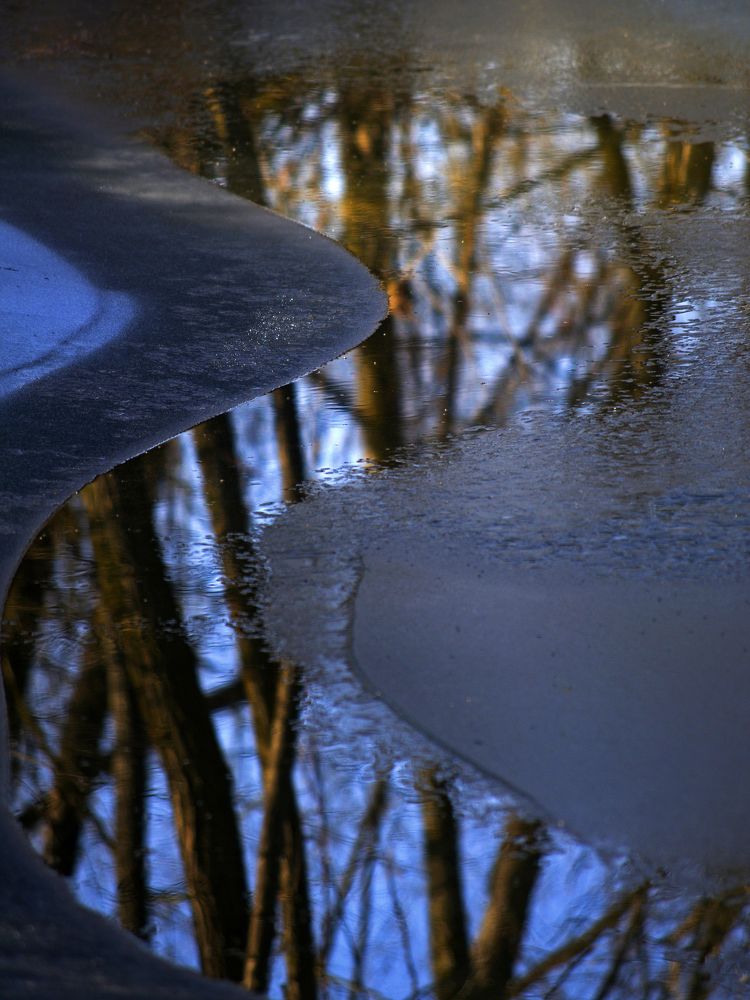 Photograph by Lothar Boris Piltz