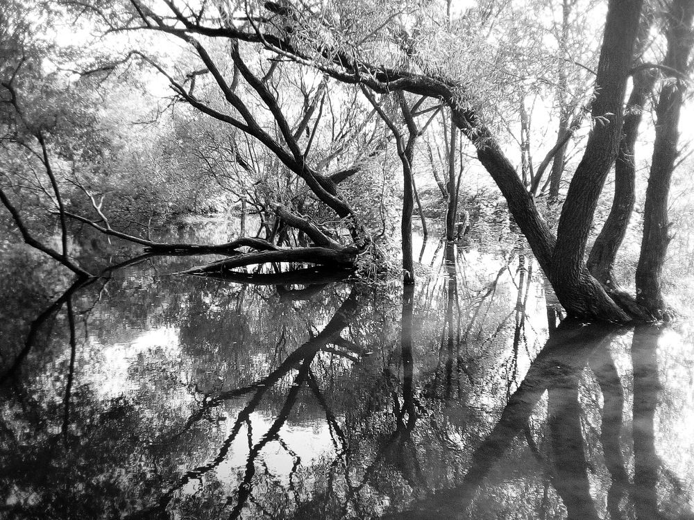 Photograph by Вадим Беляев