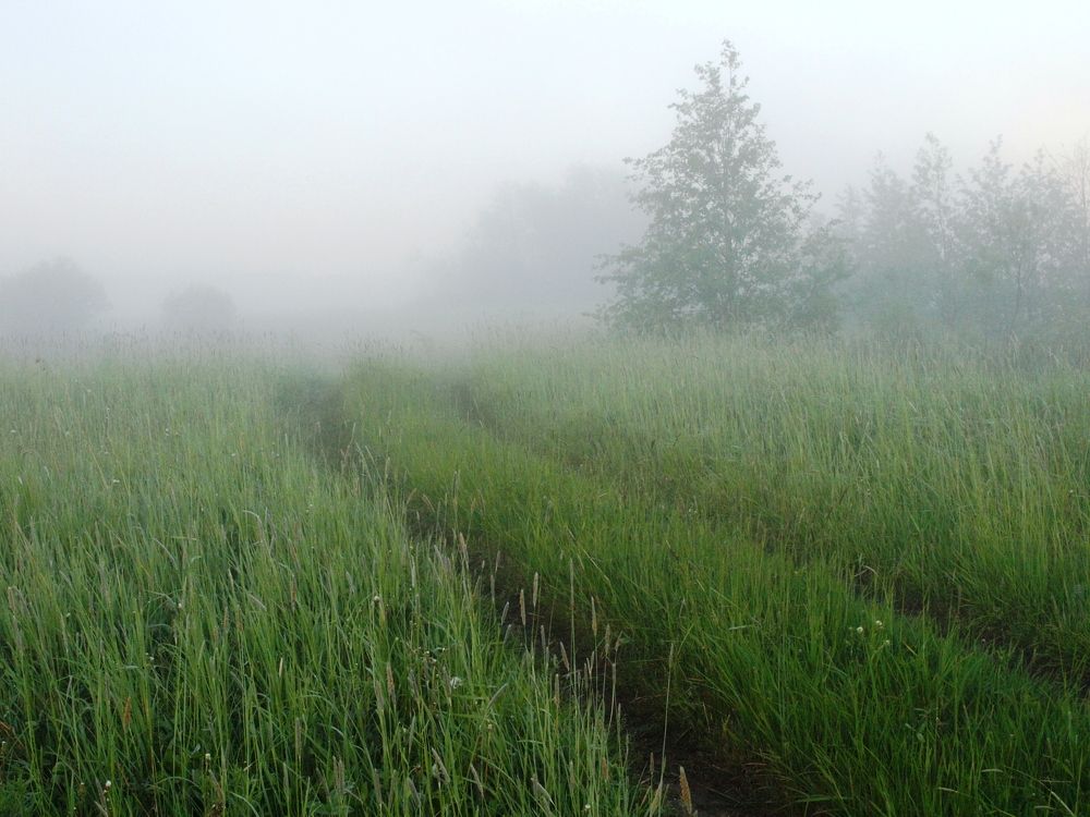 Photograph by Дмитрий Васючков