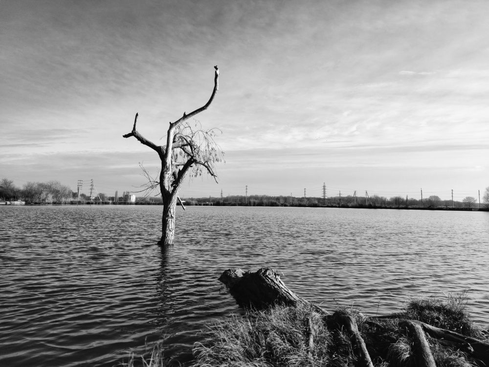 Photograph by Константин Цыкалюк