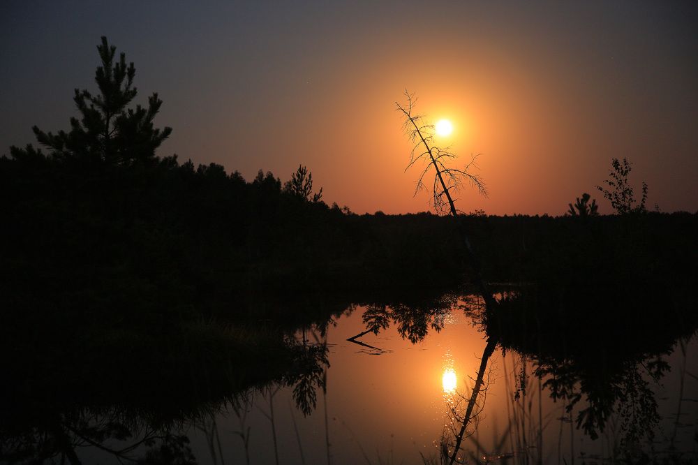 Полнолуние