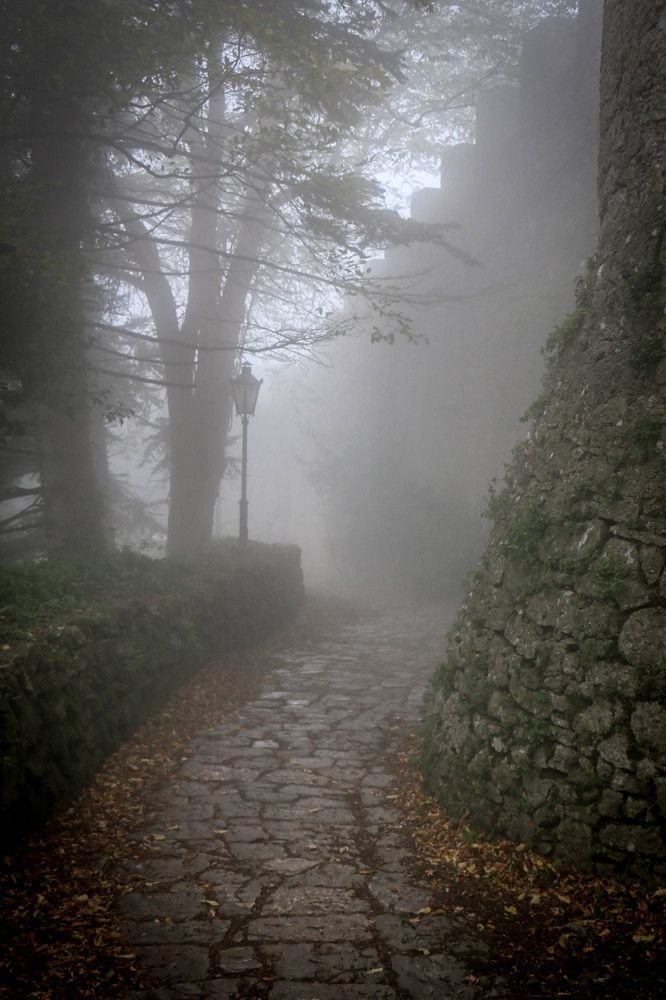 Photograph by Таймураз Гумеров