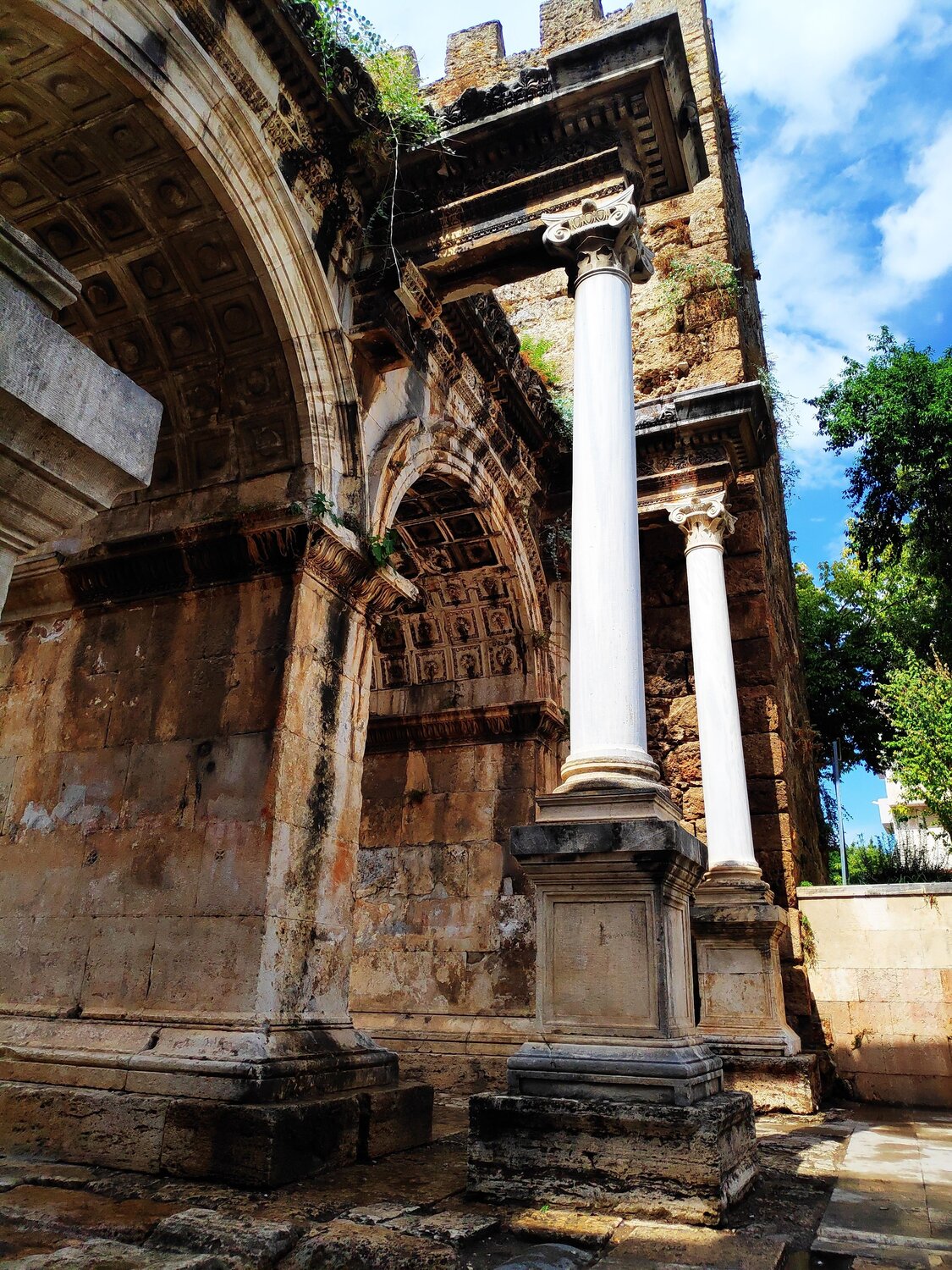 Photo #6878122