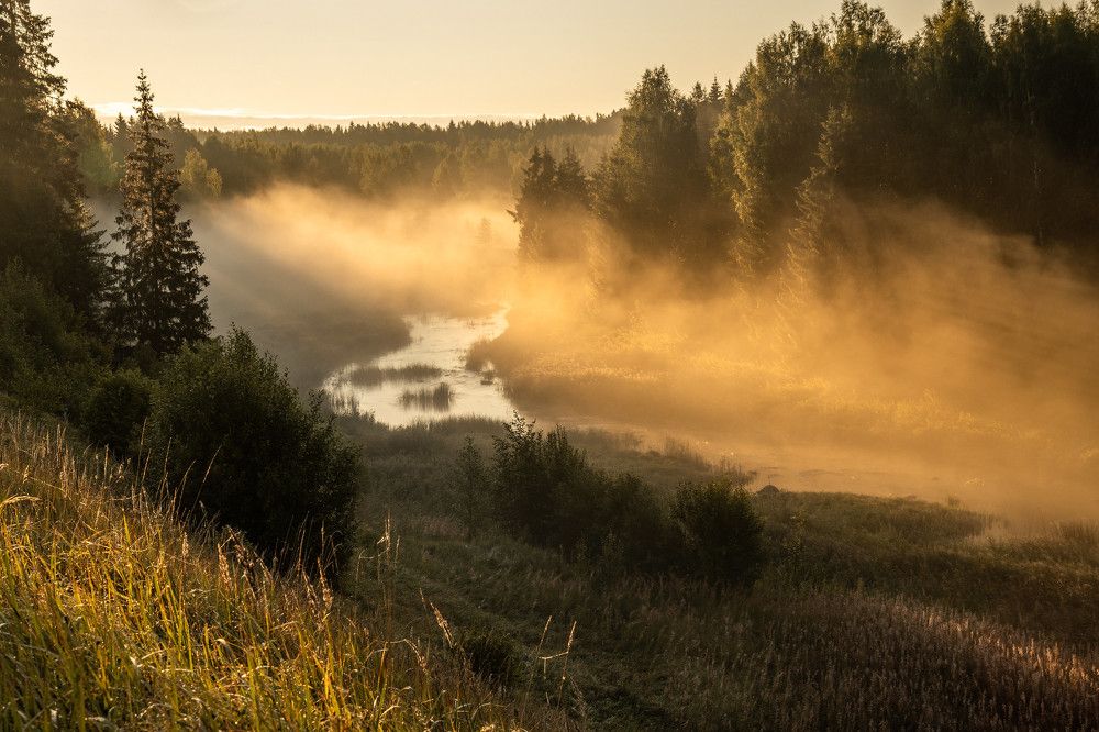 Photograph by Svetlana Dorokhova