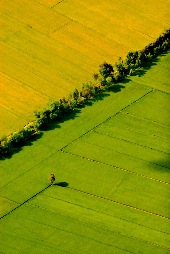 Фотография автора Đang Hong
