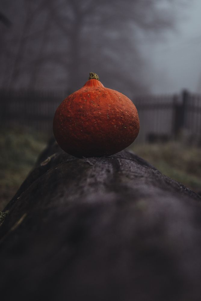 Photograph by Львова Люси