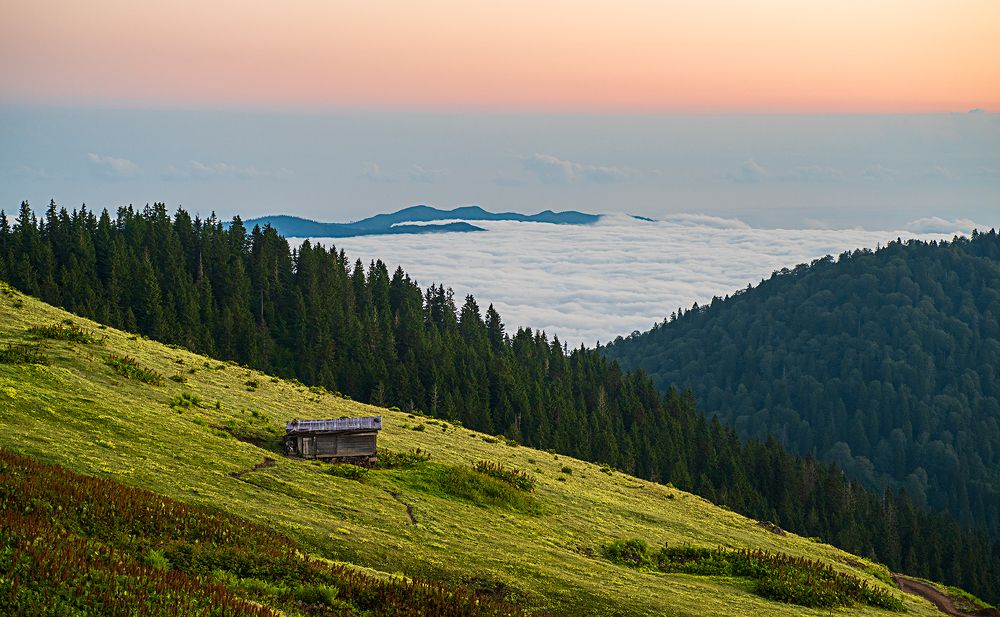 Фотография автора Mehmet Gokyigit