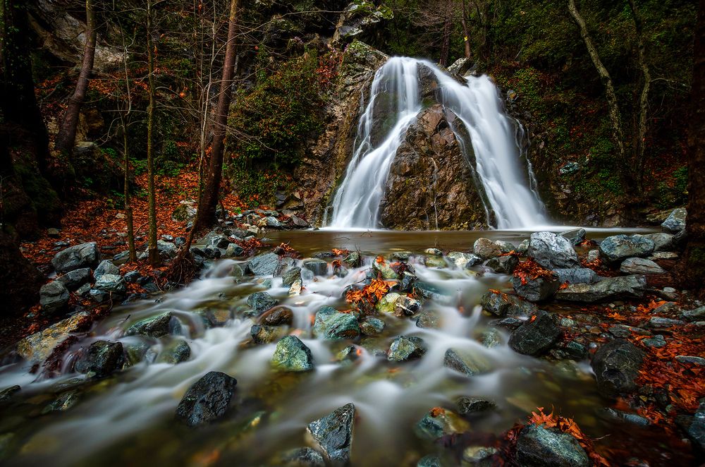Photograph by Mehmet Gokyigit