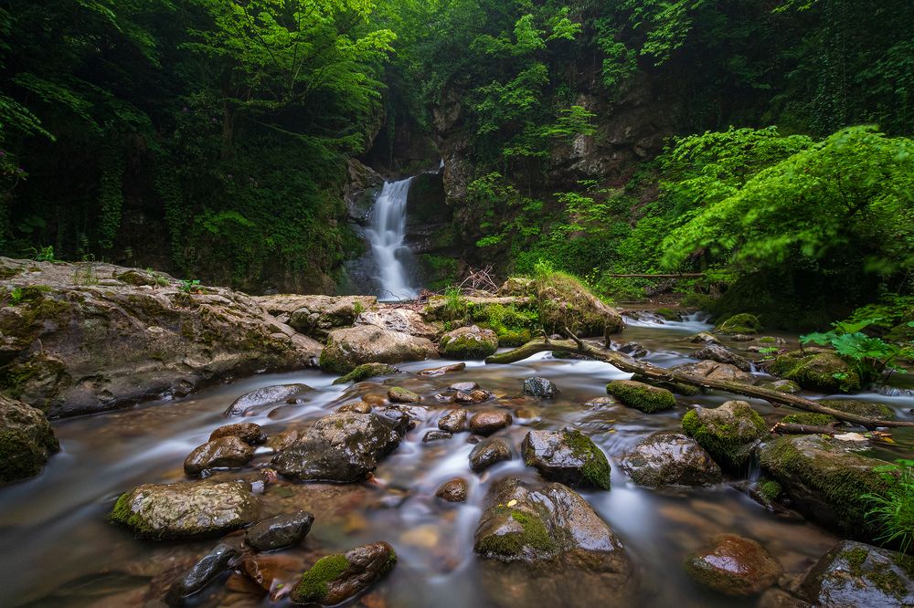 Фотография автора Mehmet Gokyigit