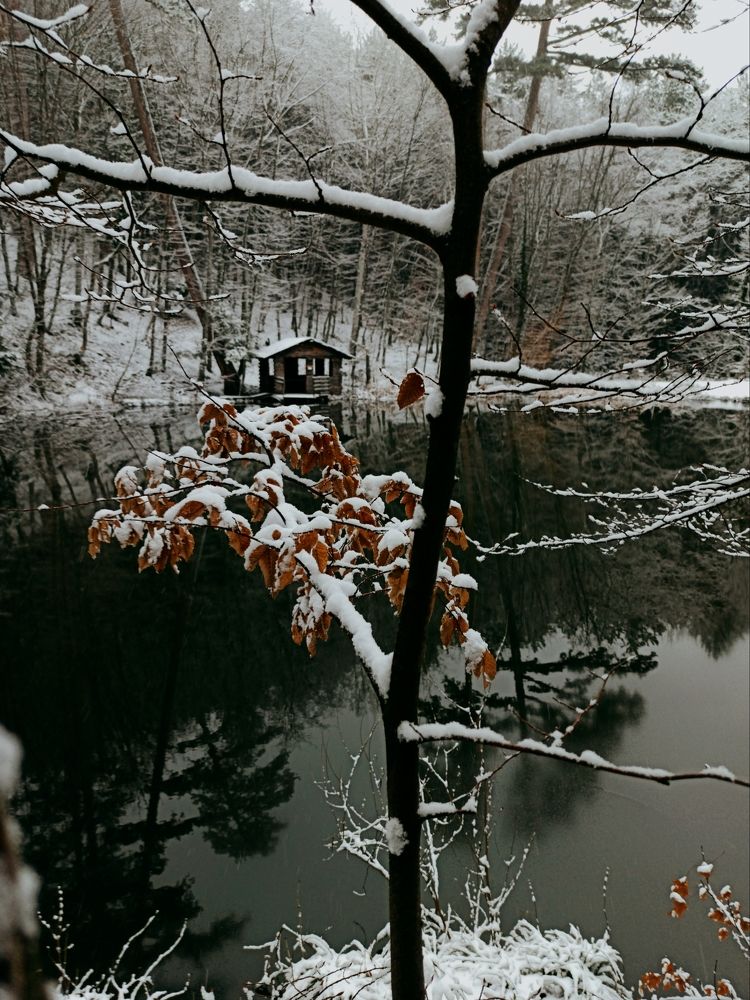 Photograph by Наталья Шраменко