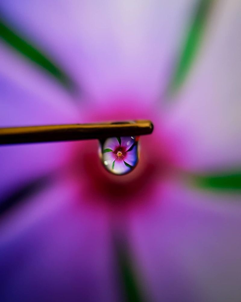 Photograph by Erfan Jahanbazi