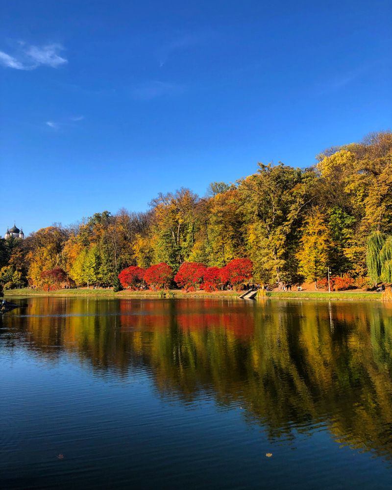 Photograph by Ирина