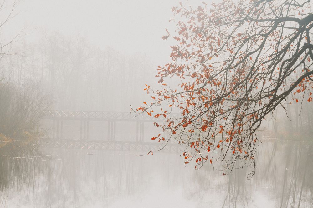 Photograph by Джамшед Камбаров