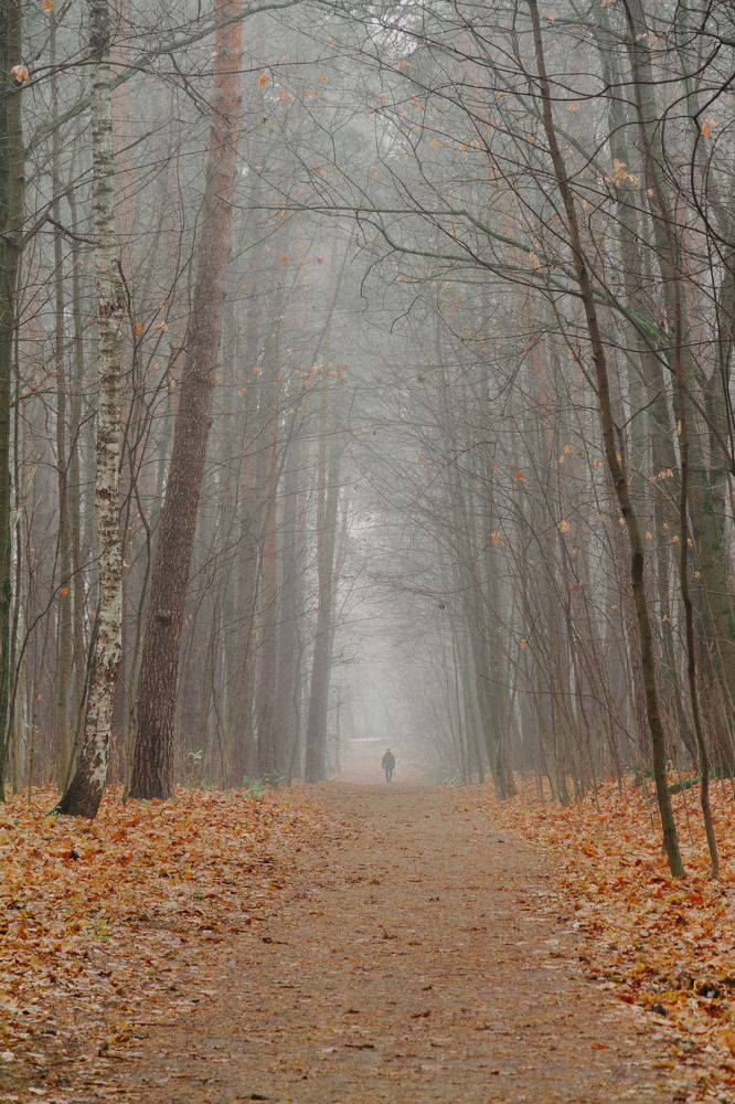 Человек в тумане