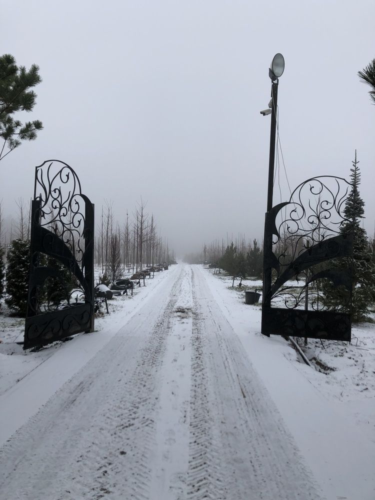 Photograph by Ирина