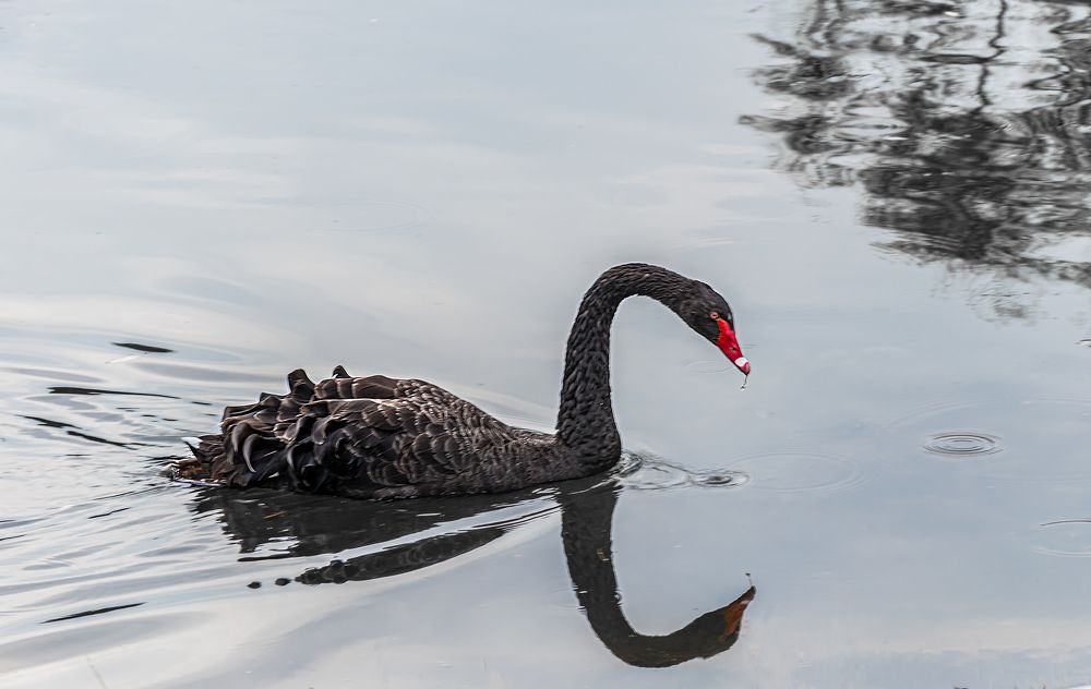 Photograph by Галина Эмберг