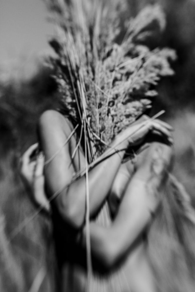 Photograph by Bogdan Bousca