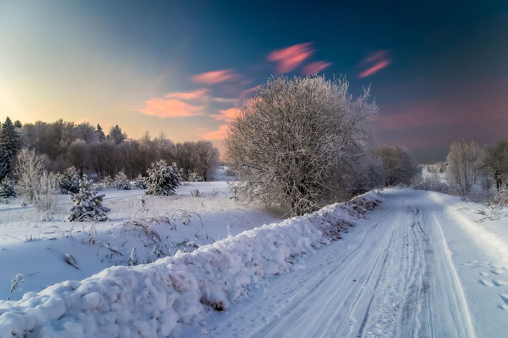 Фотография автора Панагушин Сергей