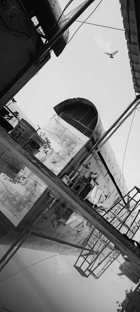 Фотография автора Krishna Sai