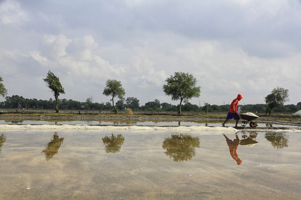 Photograph by Sudibyo Eddy S