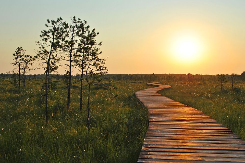 Photograph by Алексей