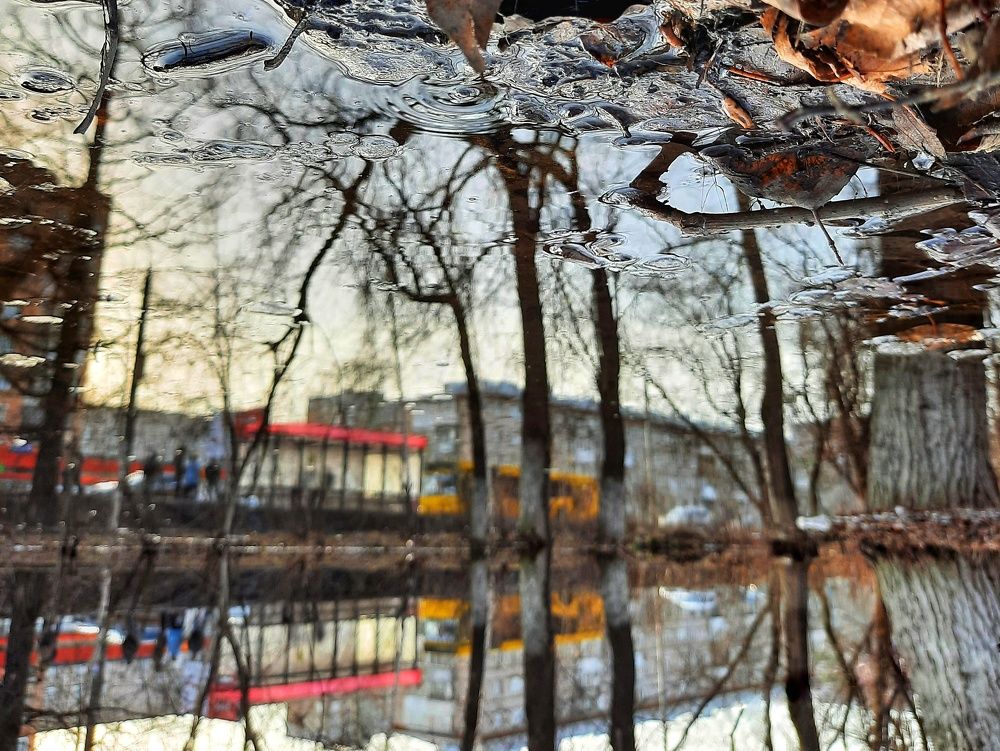 Фотография автора Olga Kunakova