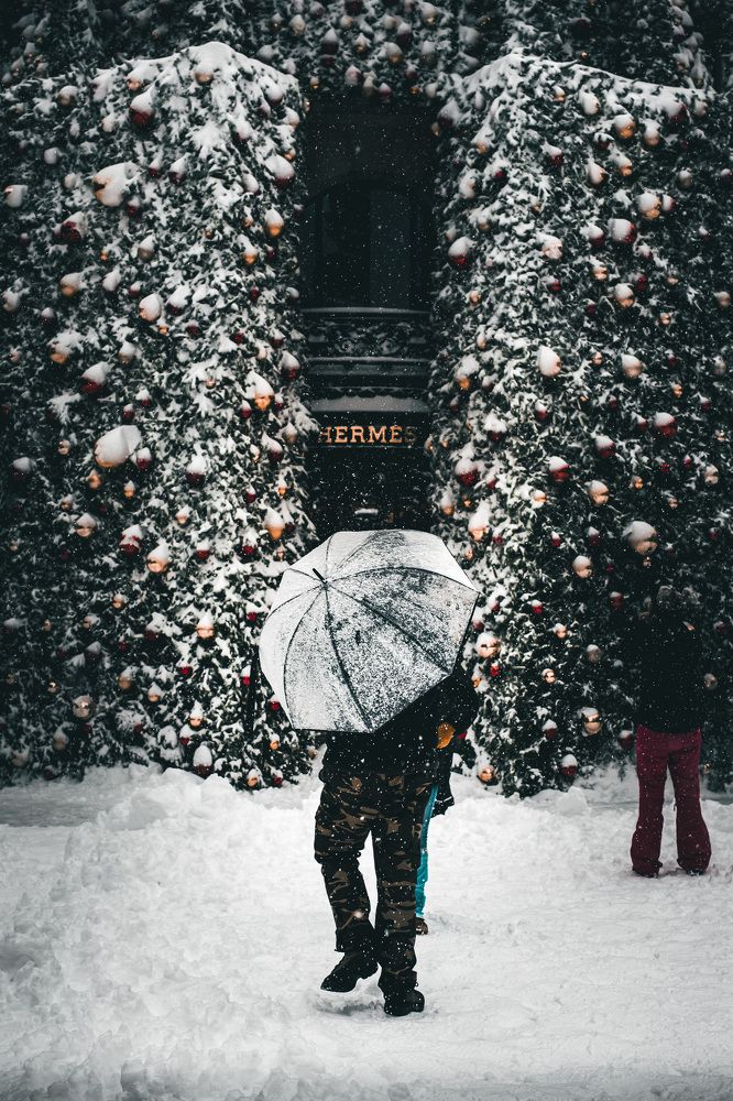 Photograph by Murcia J. A.