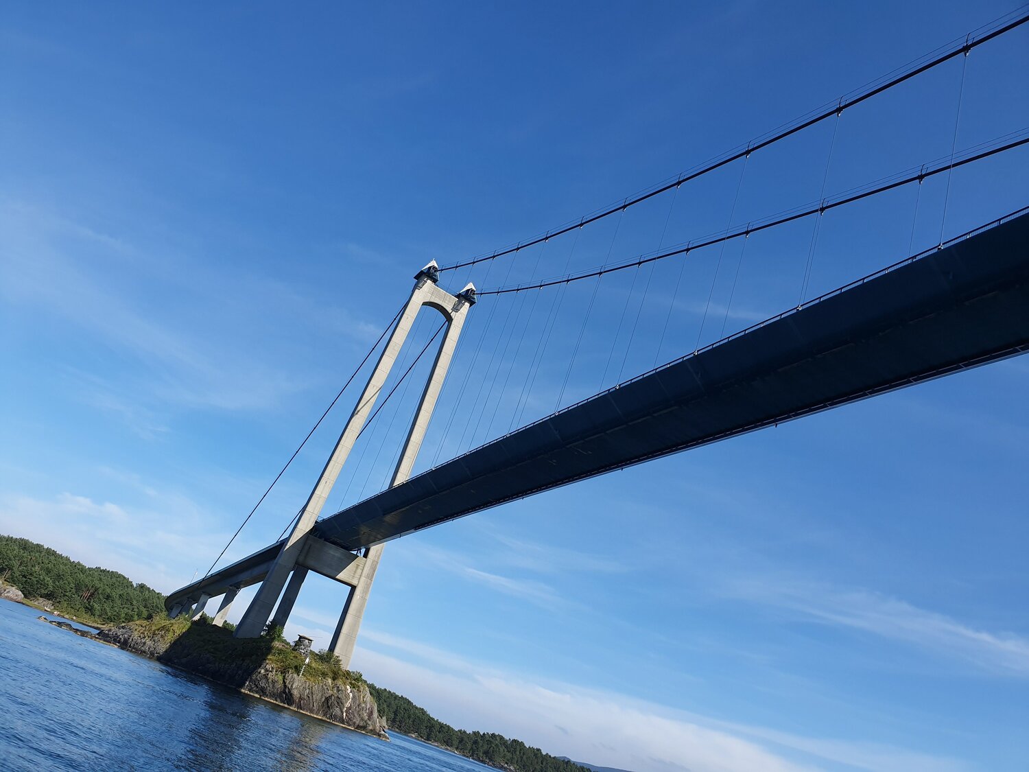 Photo #6878554
