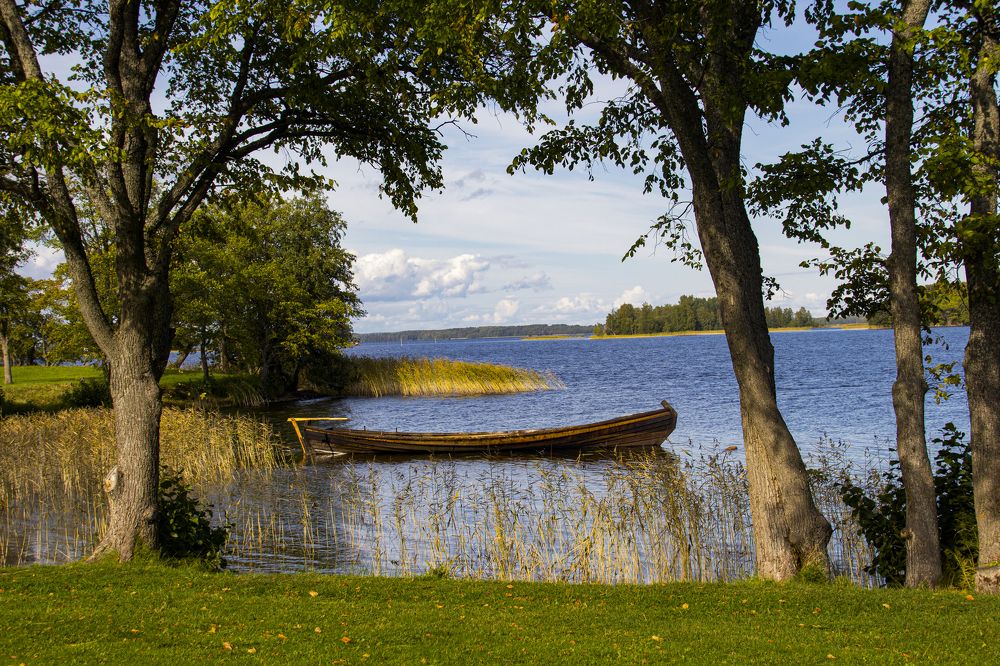 Photograph by Виктория Мамлеева