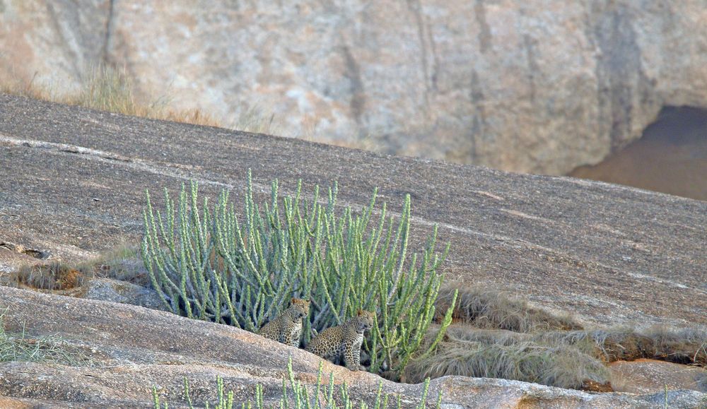 Photograph by Pulkit Satwara