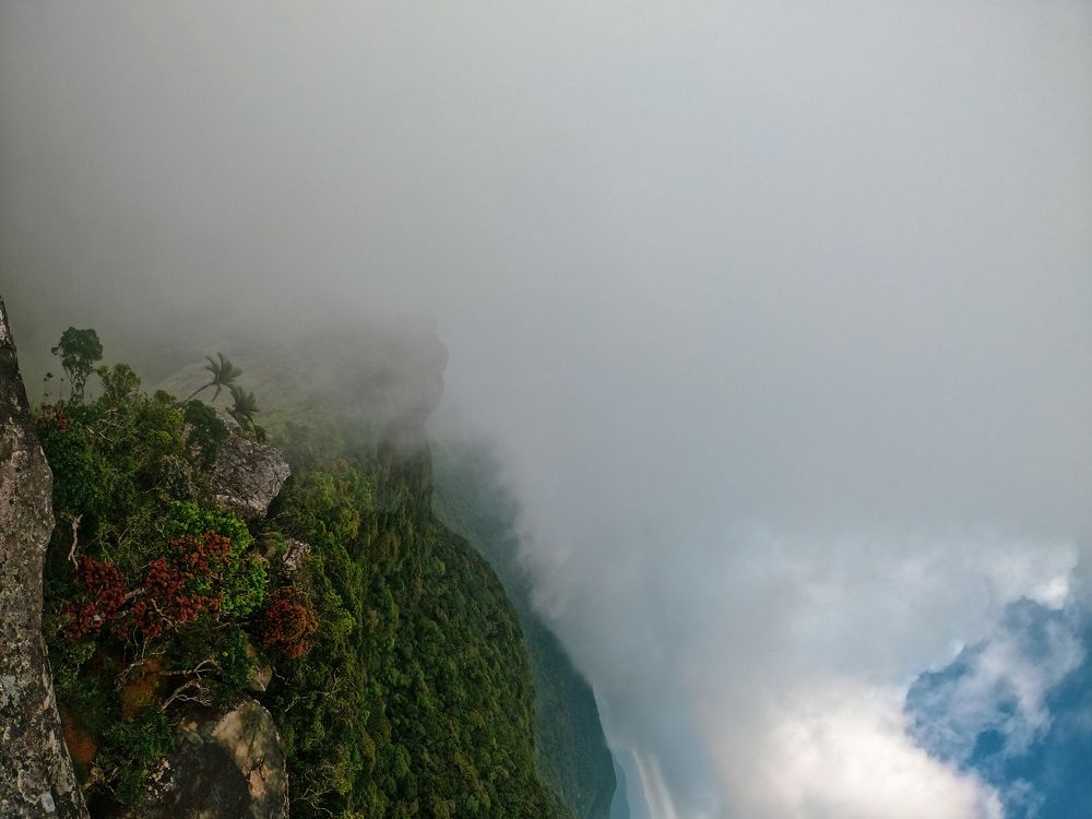 Photograph by Sachintha Sameera