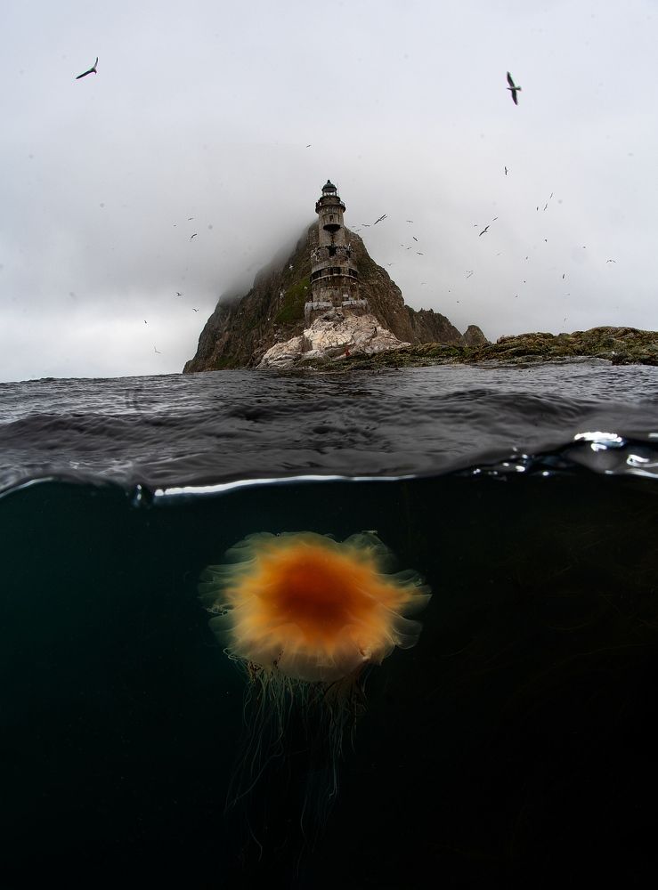 Фотография автора Нарчук Андрей