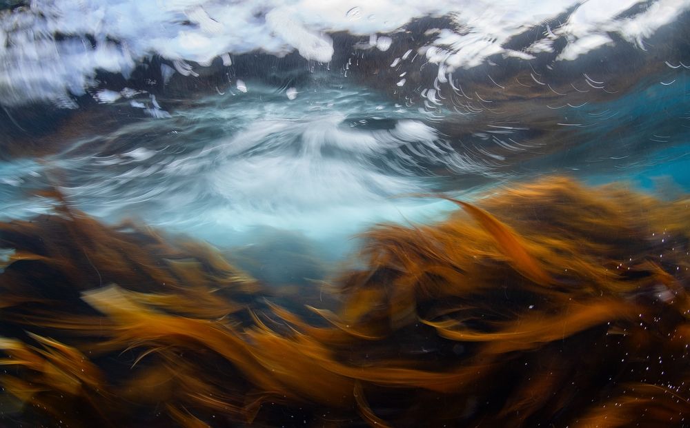 Фотография автора Нарчук Андрей