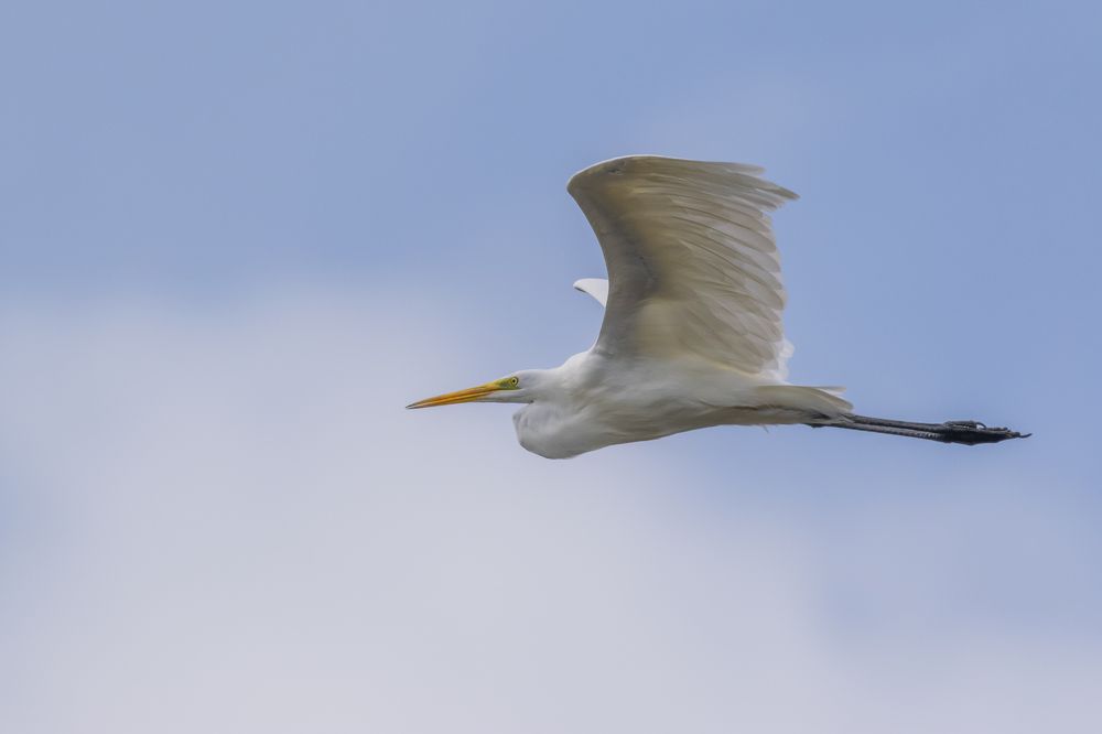 Photograph by Sarah Rührnößl