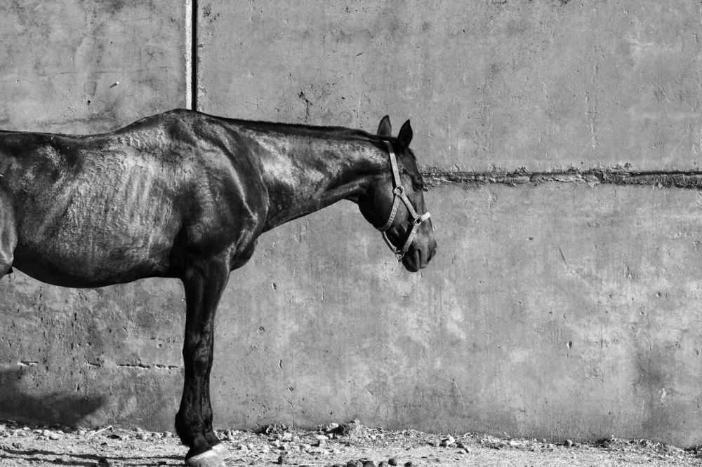 Photograph by Константин Цыкалюк