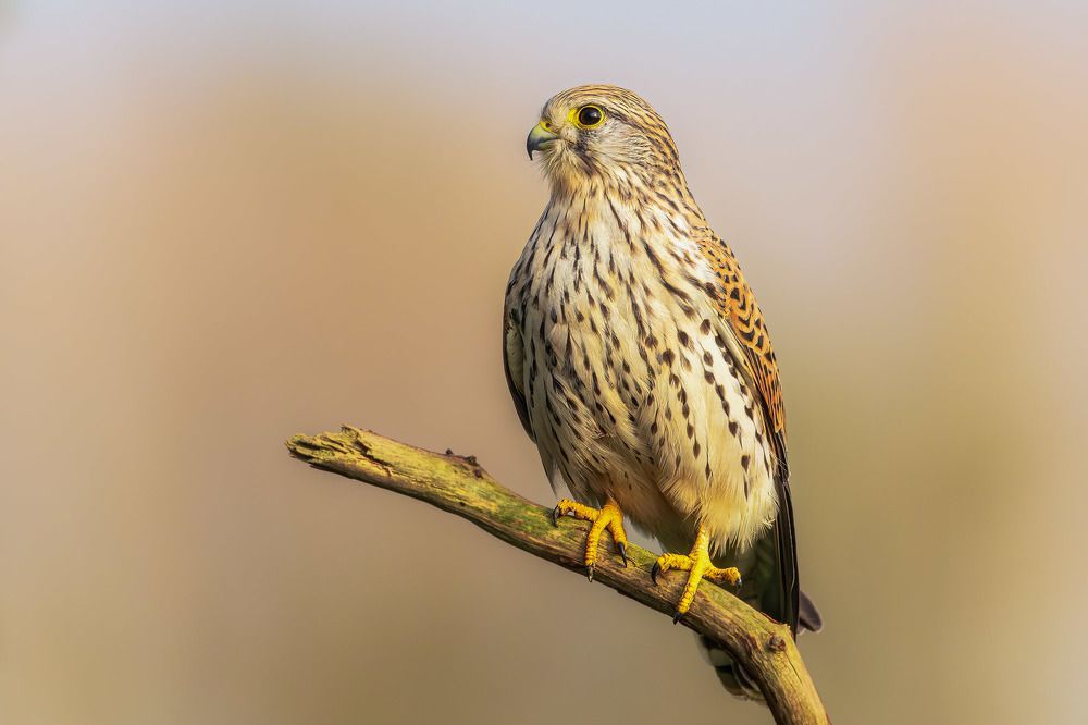 Photograph by Rick Heeres