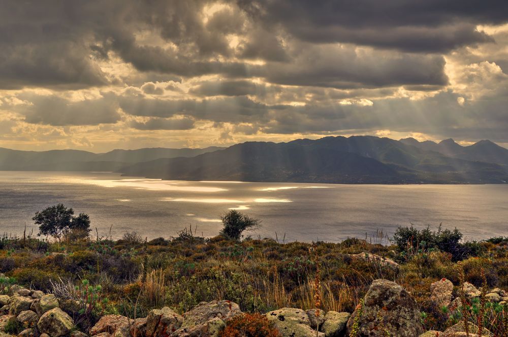 Фотография автора Rena Nikola