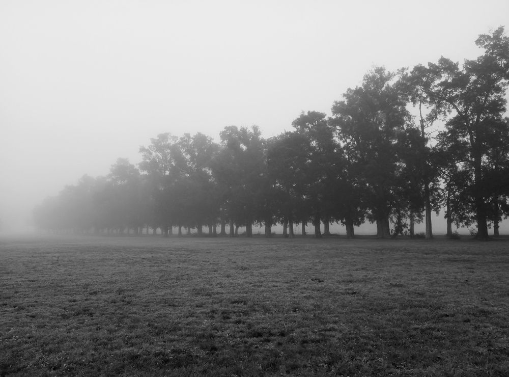 Photograph by Gleyda Gutierrez