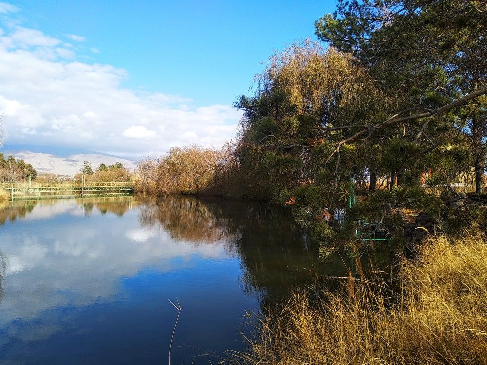 Photograph by Наиля Омарова