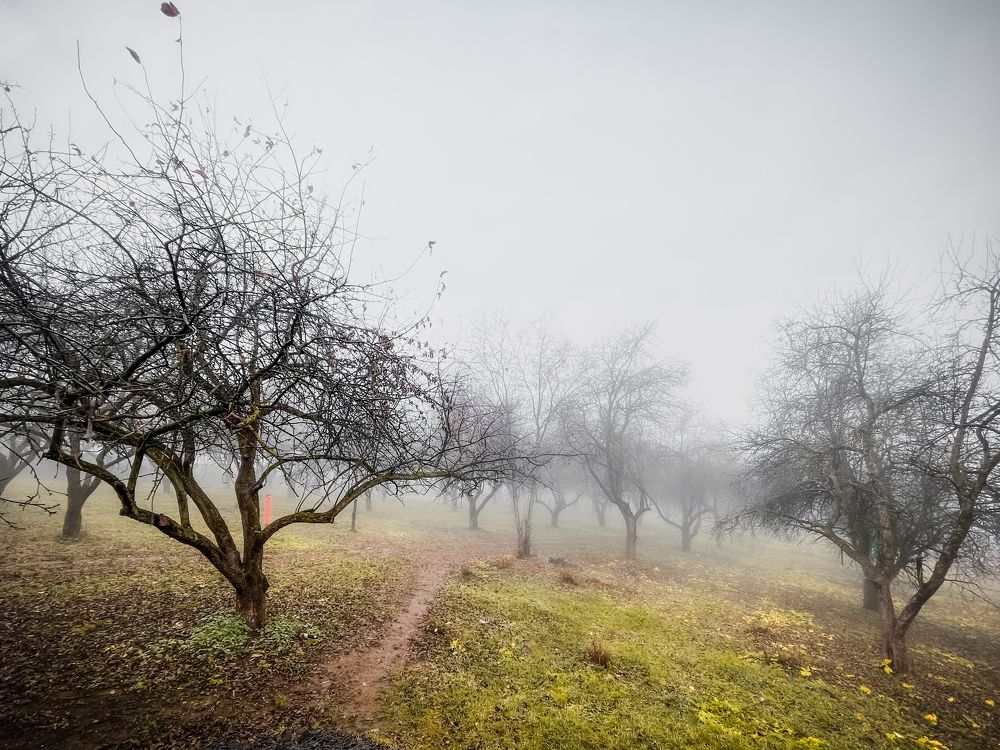 Photograph by Евгения Иваницкая