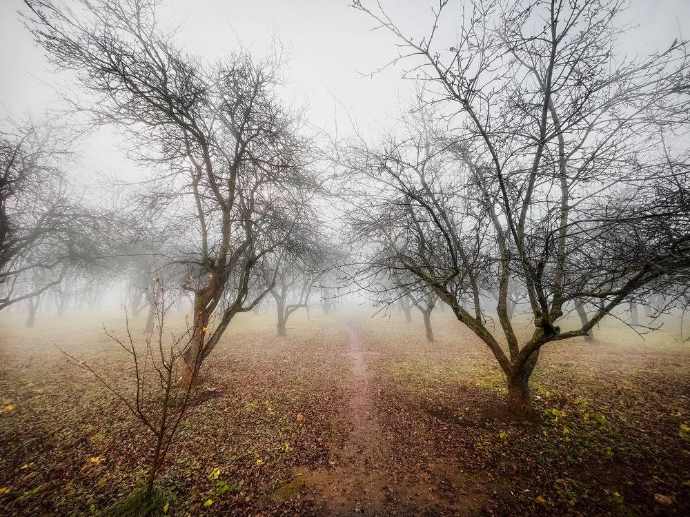 Photograph by Евгения Иваницкая