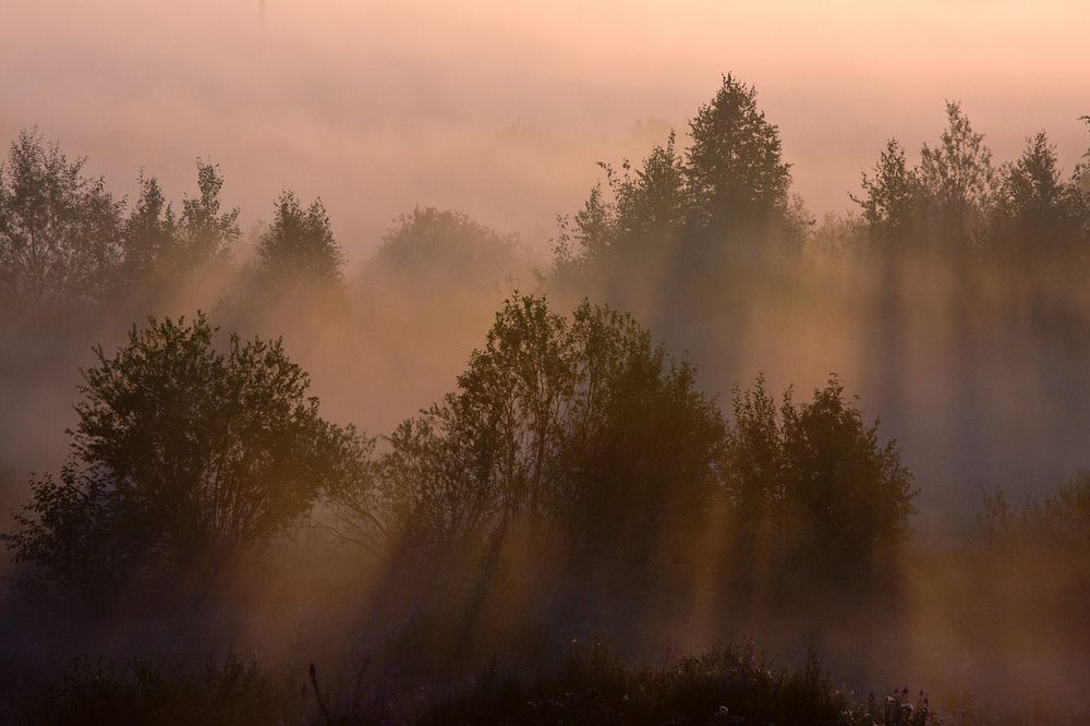 Photograph by Ангелина Басалыга