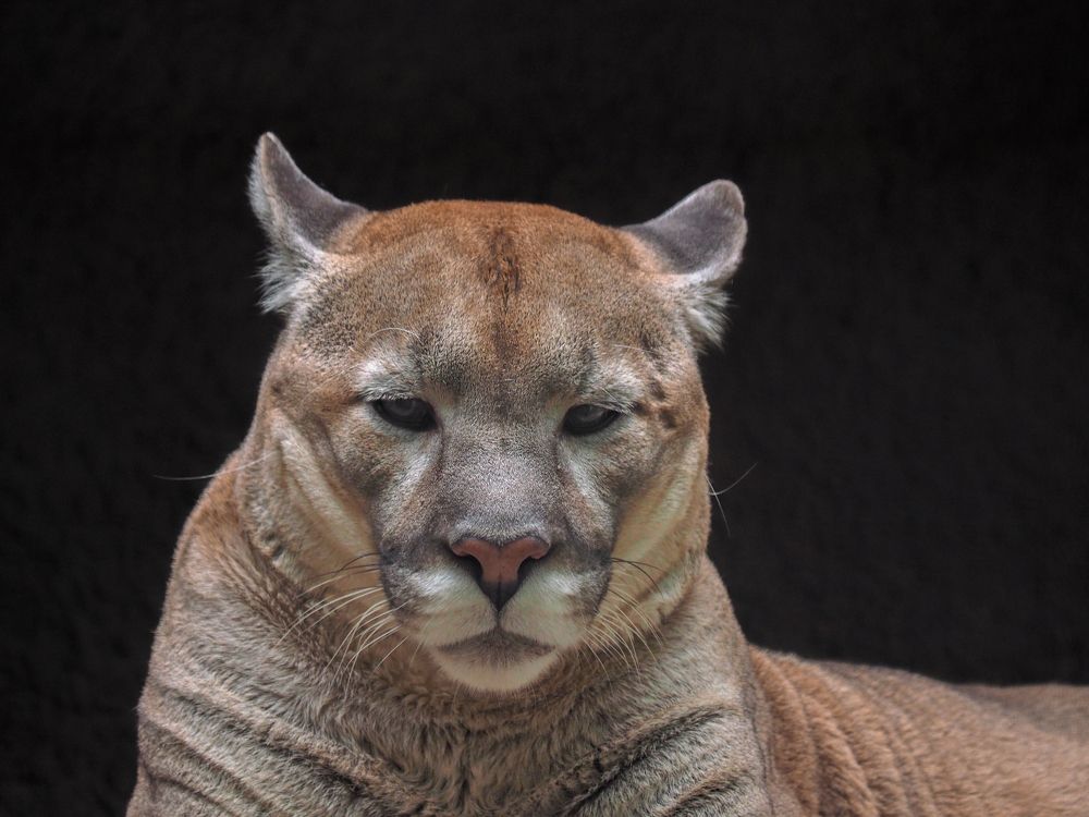 Photograph by Олег Ващилко