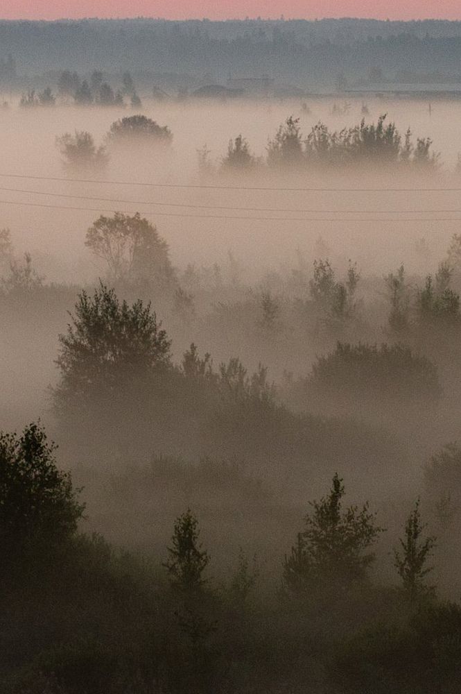 Photograph by Ангелина Басалыга